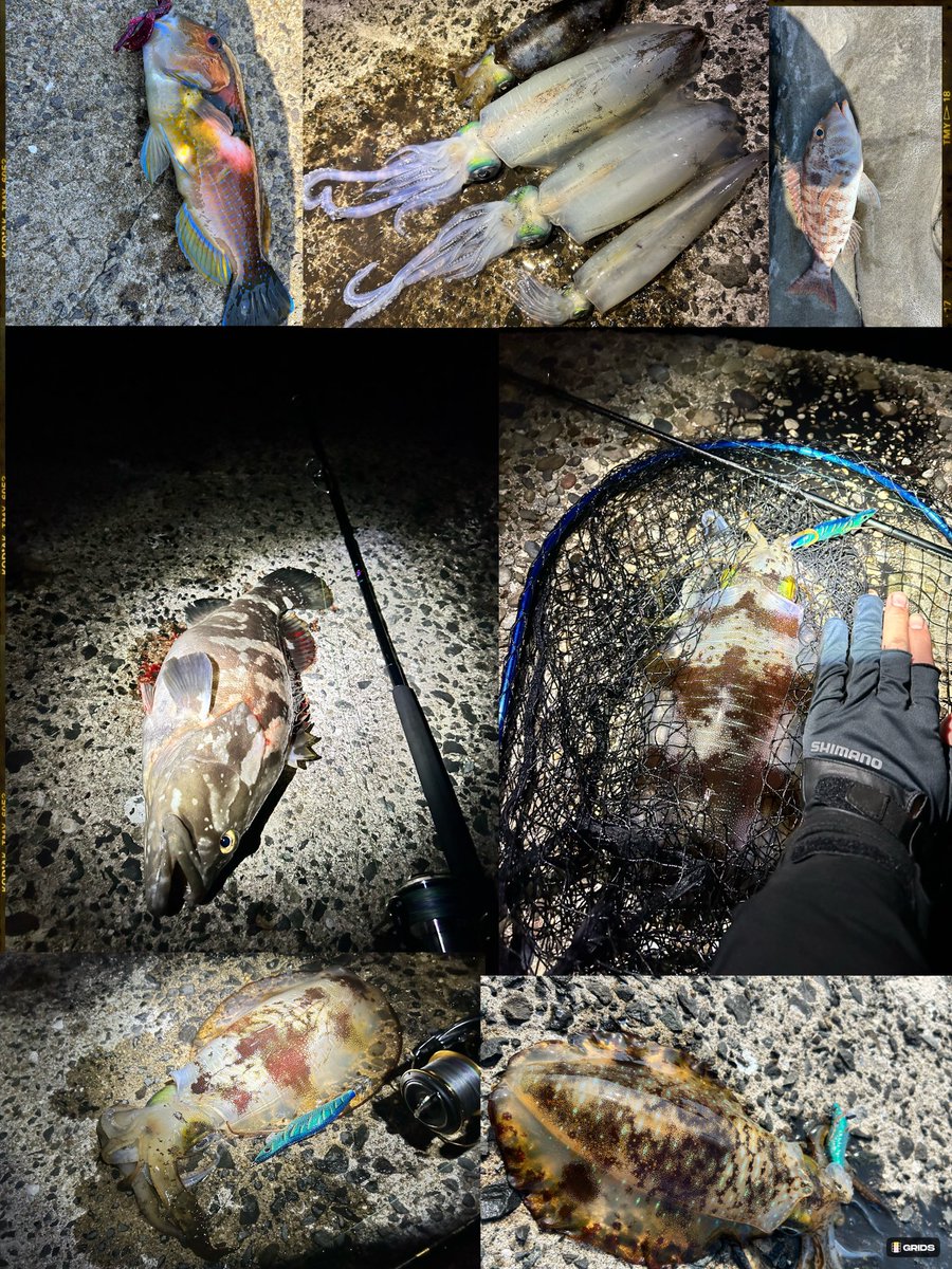 Fish throttle (クソ雑魚アングラー) tweet media