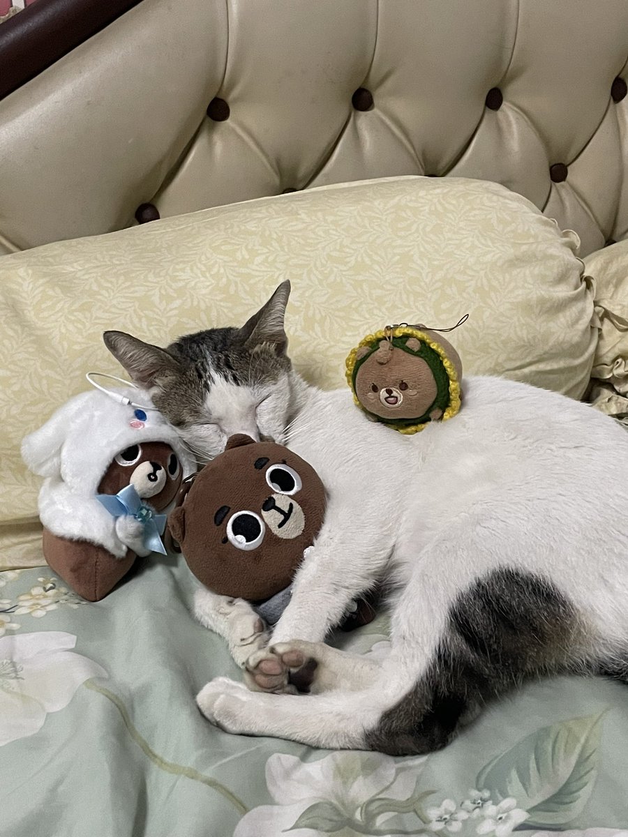 pong 𝜗𝜚˚⋆ | unpiltered tweet media