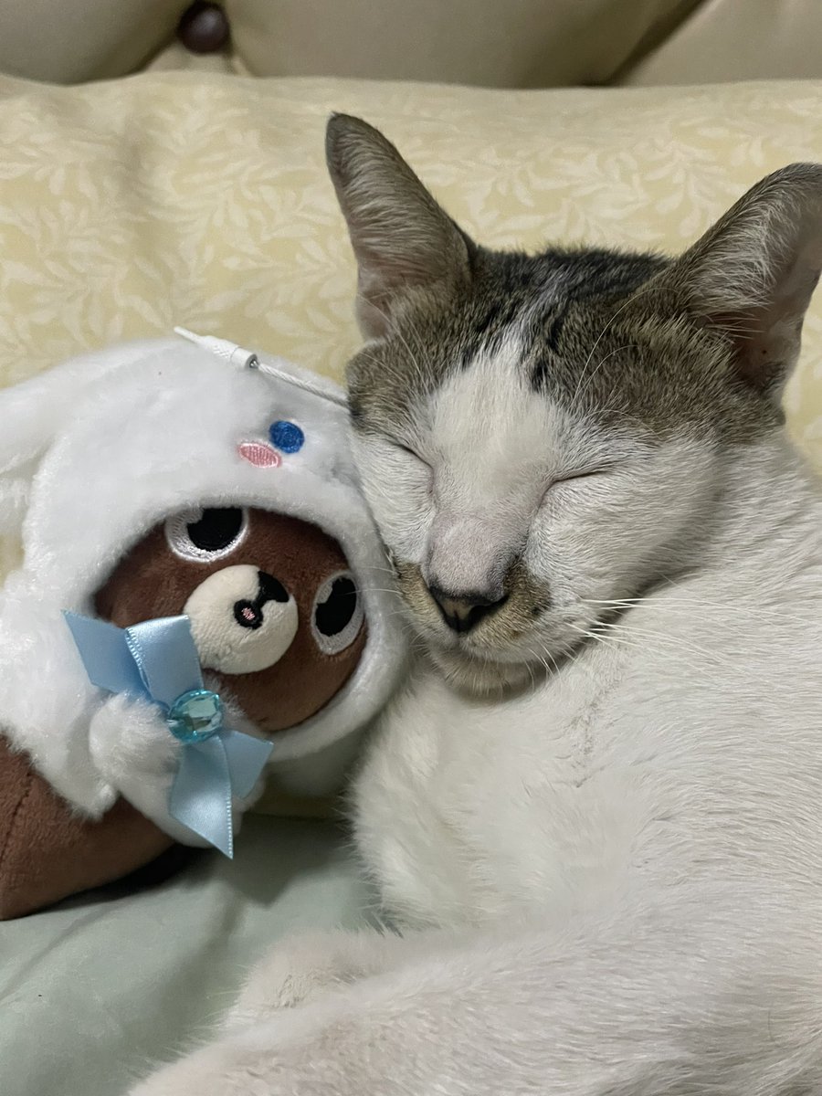 pong 𝜗𝜚˚⋆ | unpiltered tweet media