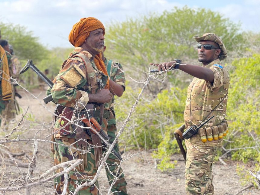 Sucdo12's tweet photo. The Somali National Armed Forces have successfully liberated Hawadley in Middle Shabelle, previously a hideout for Al-Shabaab militants.
#Somalia #SNAF #MiddleShabelle #AlShabaab #Security https://t.co/LgkDPf77Wi
