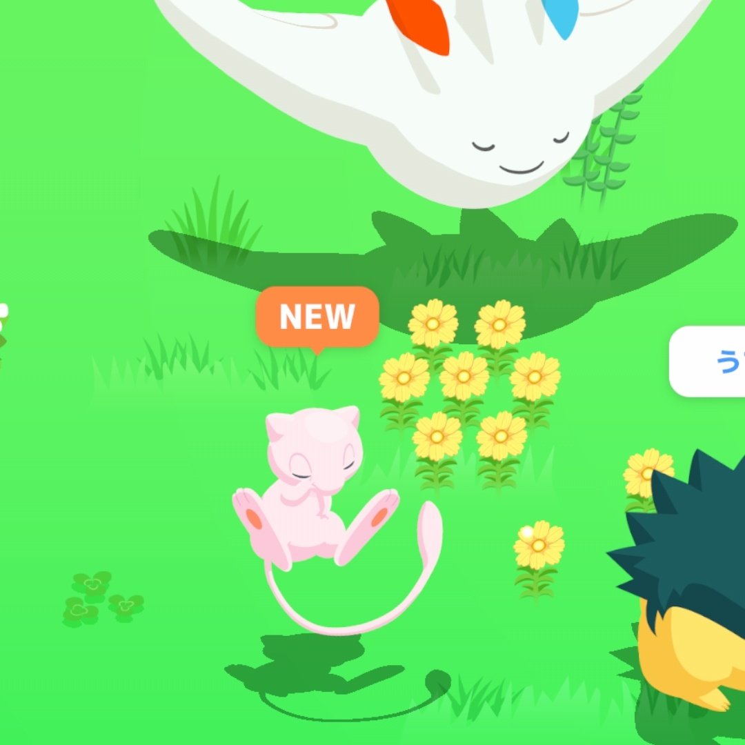 Rarby / RarbyRabbits tweet media