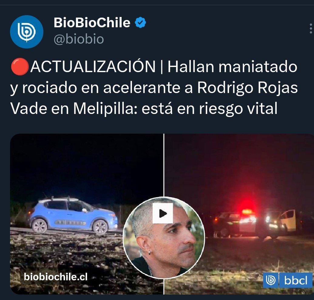 Alicia Reportera del Pueblo tweet media