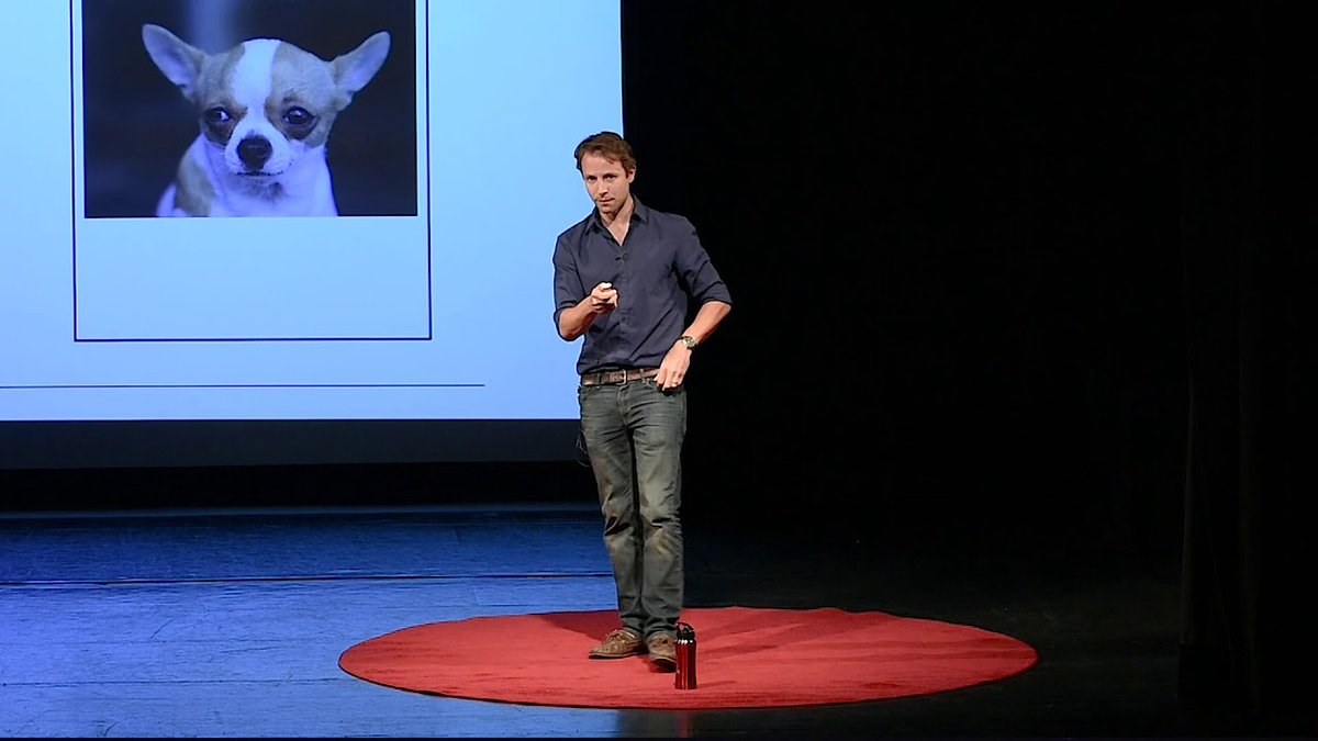 Bir öğretmenken, bilişsel gelişimi inceleyen bir bilişimci olan Dr. Jared Hovarth bir seminerinde, salondaki herkesi şaşkınlığa uğratacak bir gerçeği dile getirdi:

“Çocuklarımız, onların yaşındayken bizim sahip olduğumuzdan DAHA AZ bilişsel yeteneğe sahipler.”

“1800'lerin