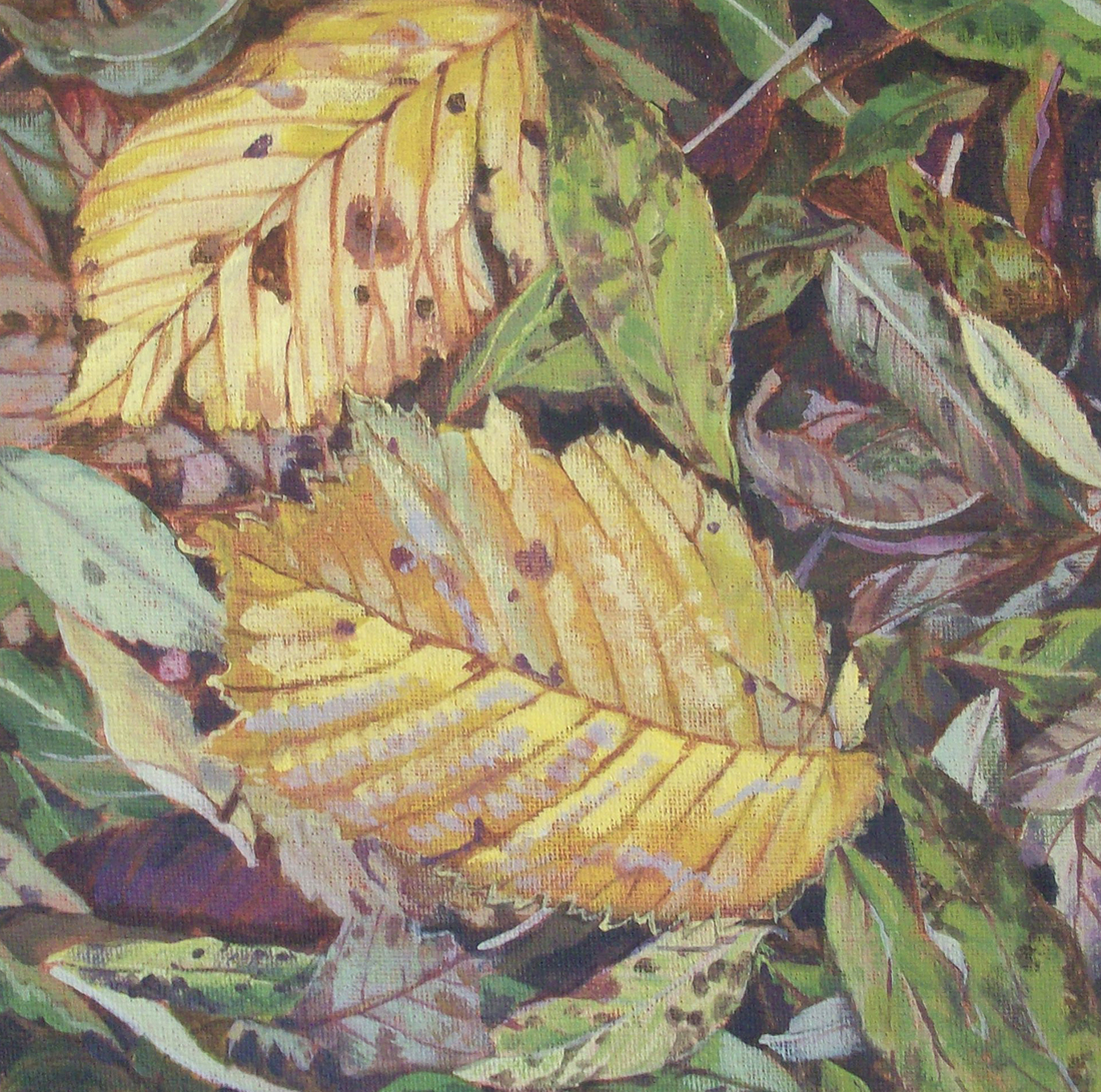 Kate Whapham tweet media