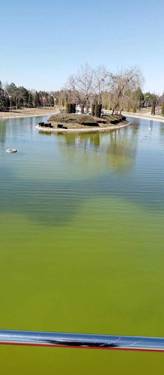 Şu anda İsviçre'nin güneybatısında,Fransa sınırına yakın bir konumda,Cenevre Gölü'nün Rhone Nehri ile birleştiği yerdeyim.Burada hava günlük güneşlik.Birazdan göl kenarındaki kafede Ristretto bianco kahvemi içeceğim demeyi çok isterdim ama burası Eskişehir Kentpark.Üzgünüm.!