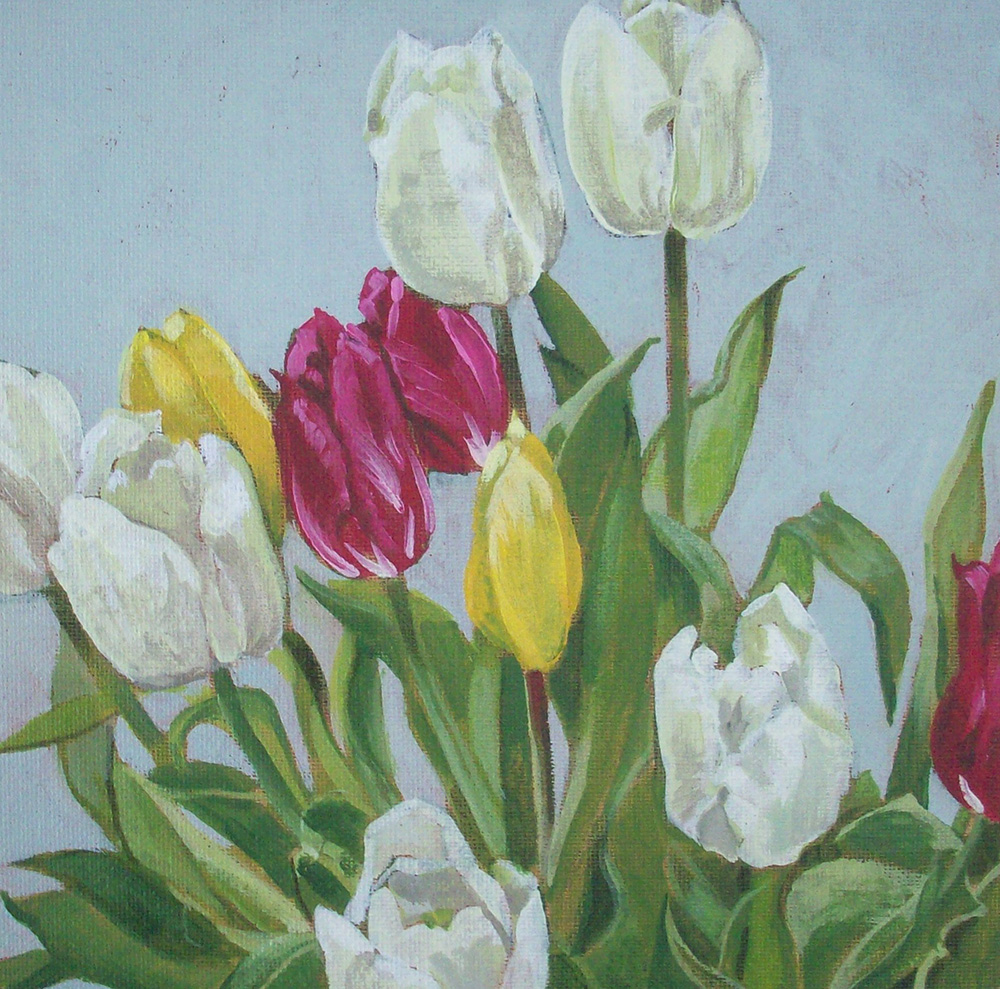 Kate Whapham tweet media