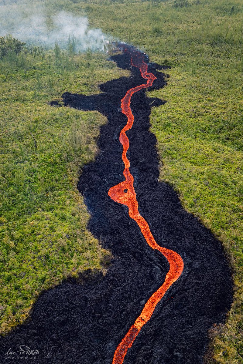 Luc Perrot tweet media