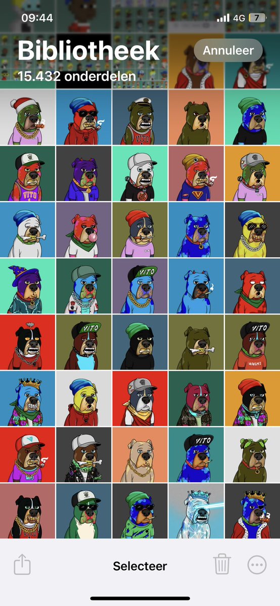 The Vito Collective tweet media