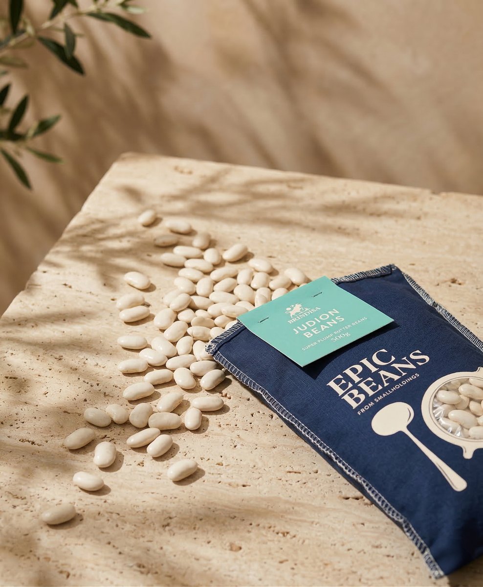 Mad River tweet media