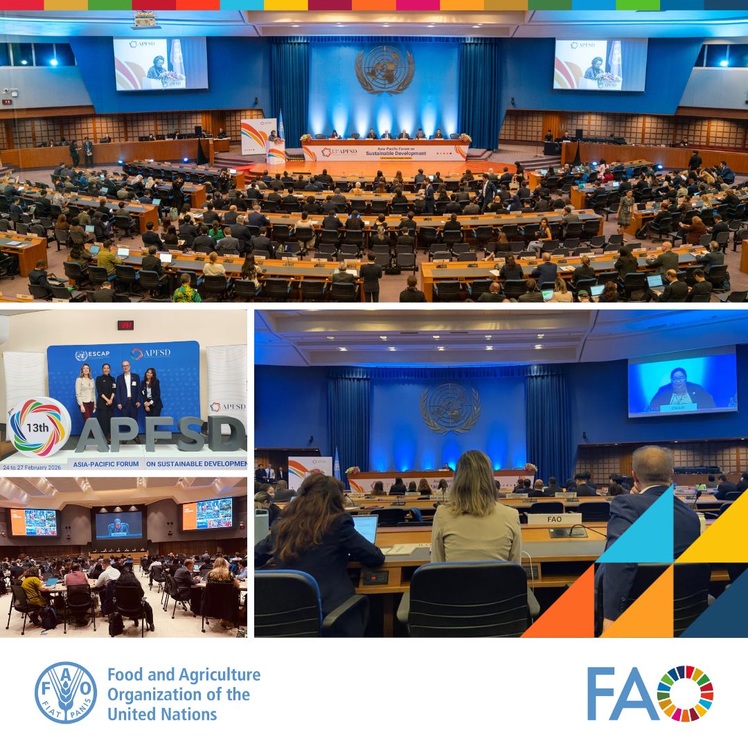 FAO and the SDGs tweet media