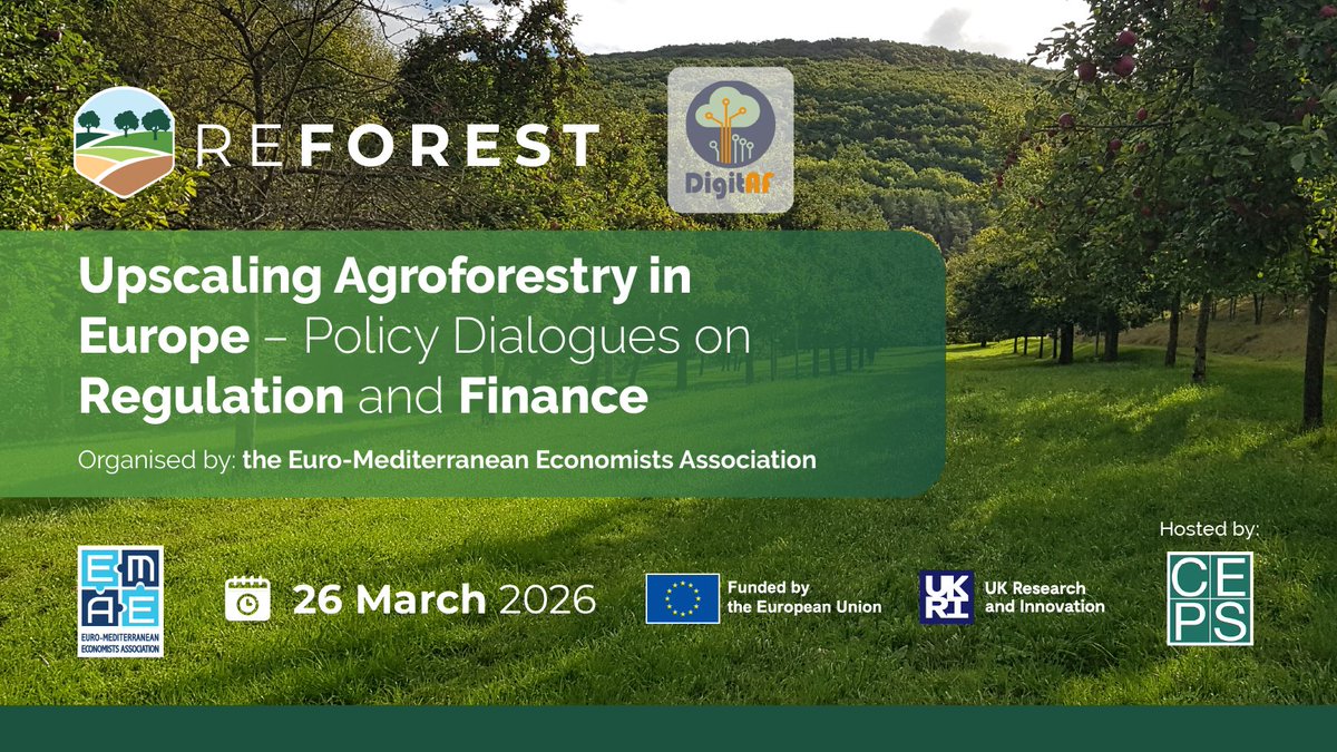 ReForest Project tweet media