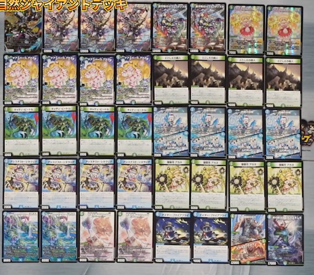 デュエルマスターズ ドキドキつよいデッキ25の王道　まとめ売り DM26-SD1 デュエル・マスターズTCG ドキドキつよいデッキ 25の王道