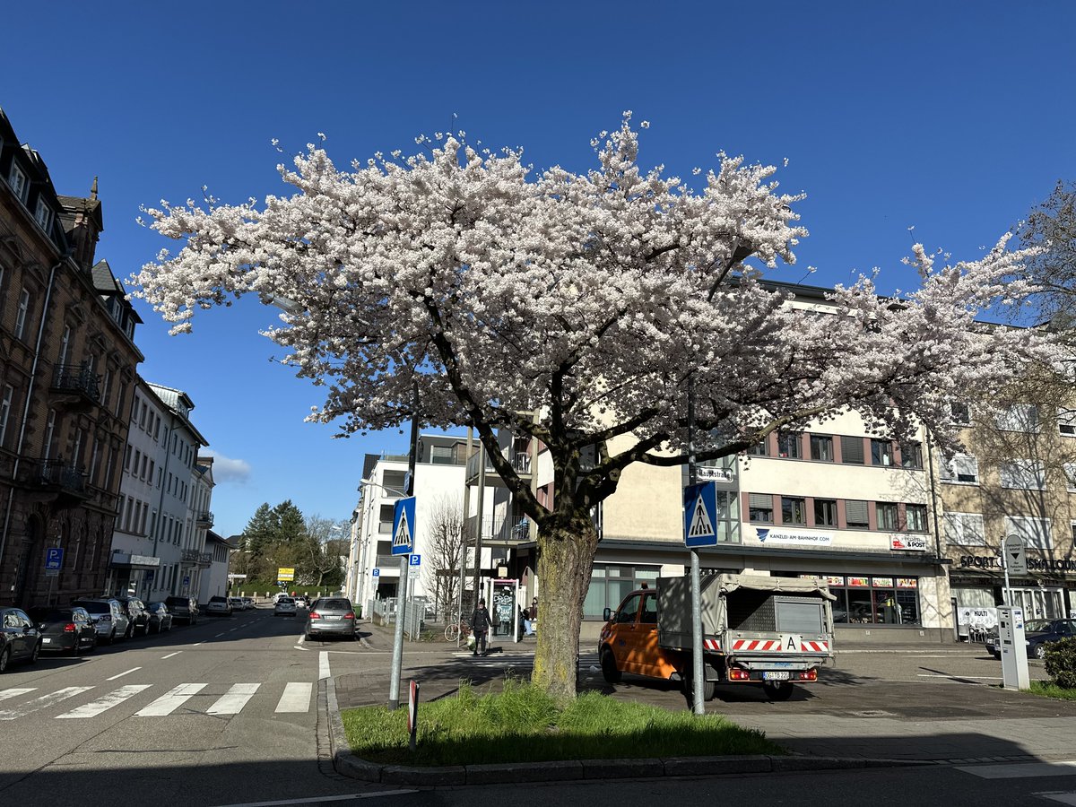 Aki 💙💛 tweet media