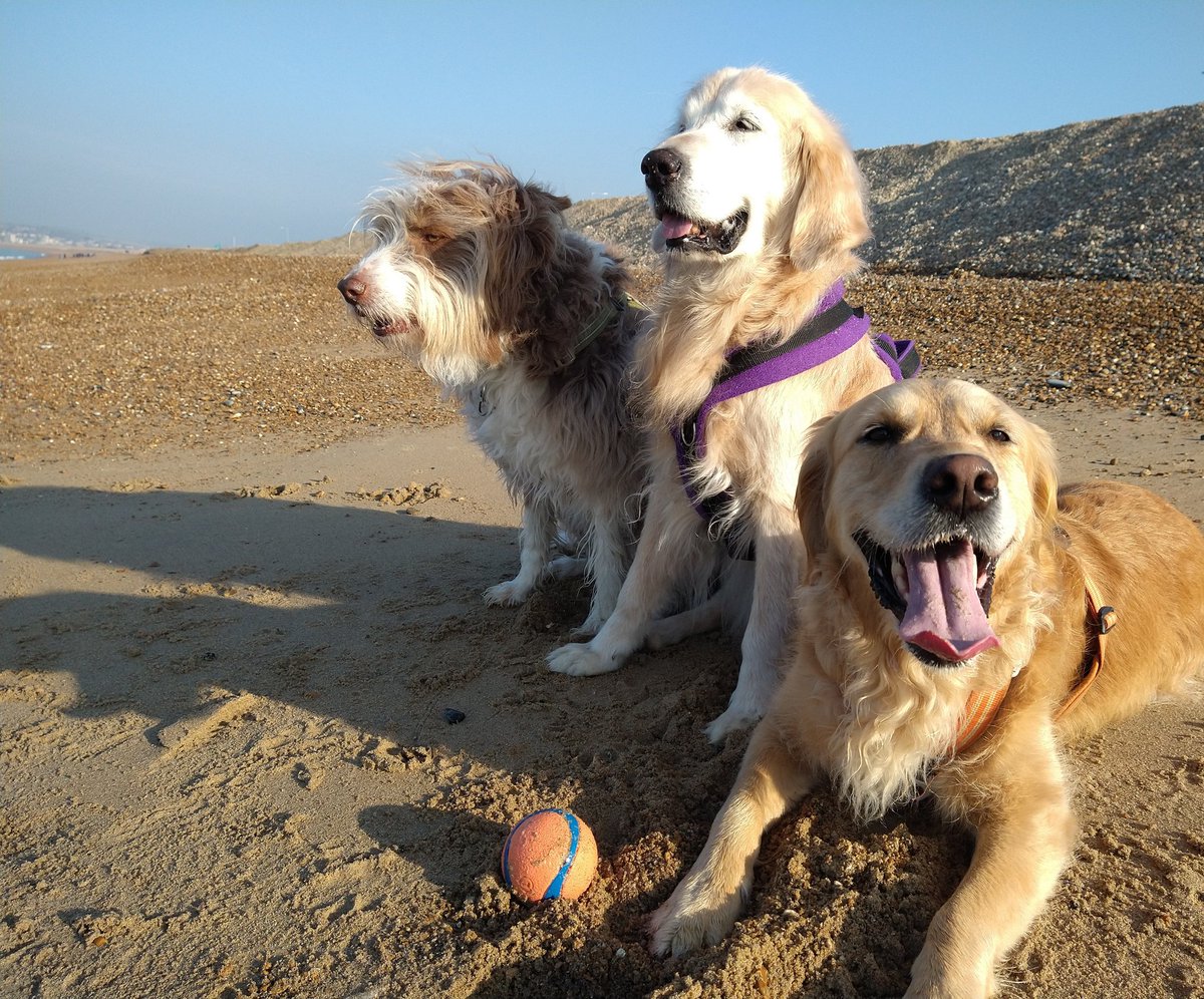 #ThrowbackThursday my sweet Erynn 💜✨🌈🥹