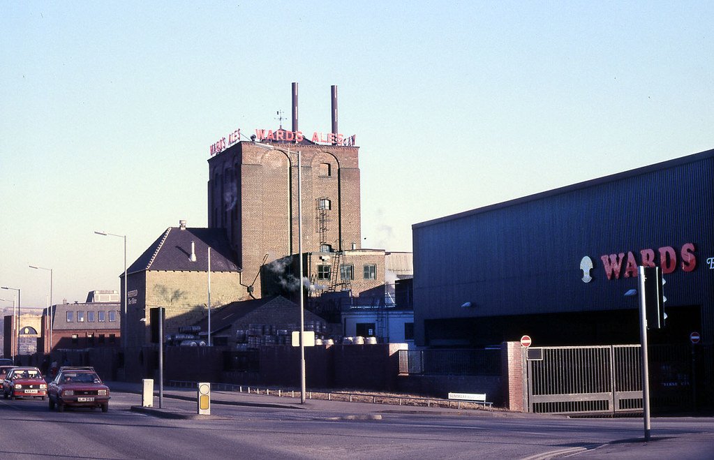 Alastair Wright tweet media