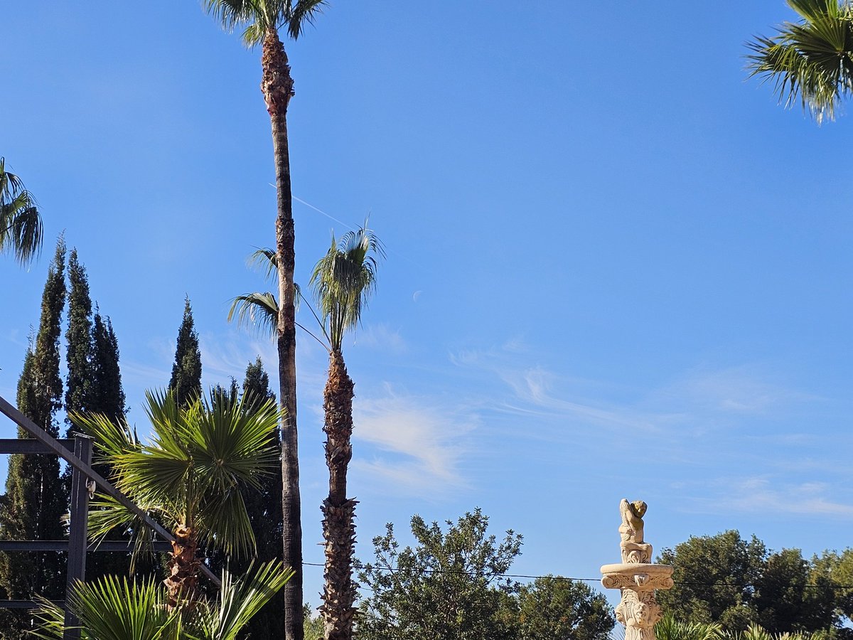 SpanglishBloke's tweet image. No me vengas con esa mierda de "sobresaturación", no es agua ni "cristales de hielo". ¡Volved a vuestro agujero, trolls! #ChemicalWarfare #Geoengineering #ClimateScam