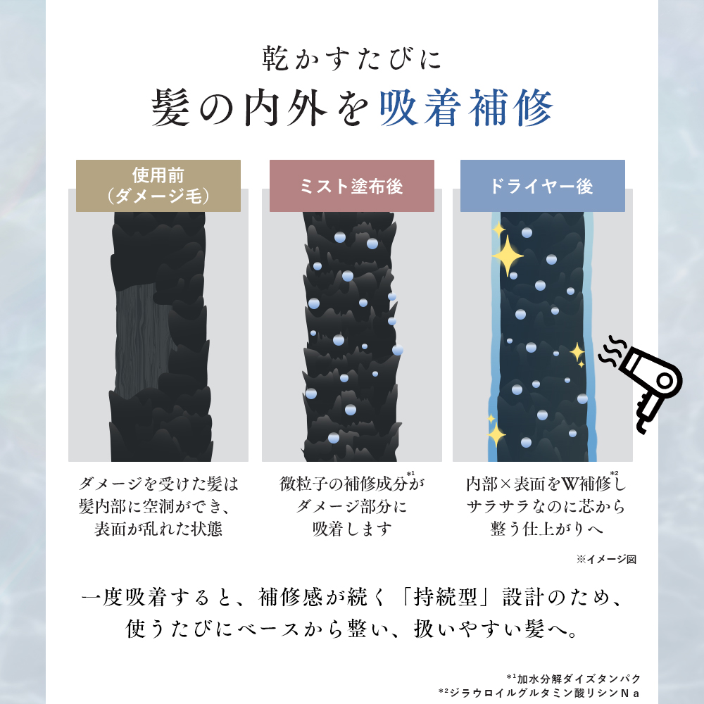 Q+ （クオリタス） tweet media