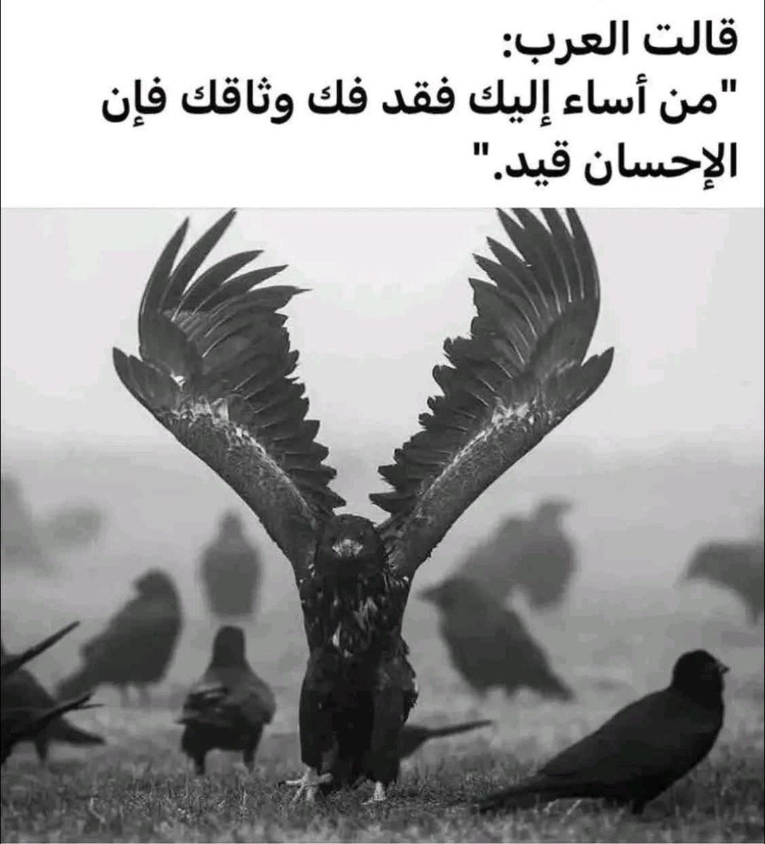 د. علي النعيمي Dr. Ali Alnuaimi (@dralnoaimi) on Twitter photo 