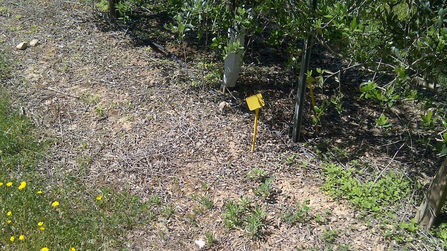 Vida Rural tweet media