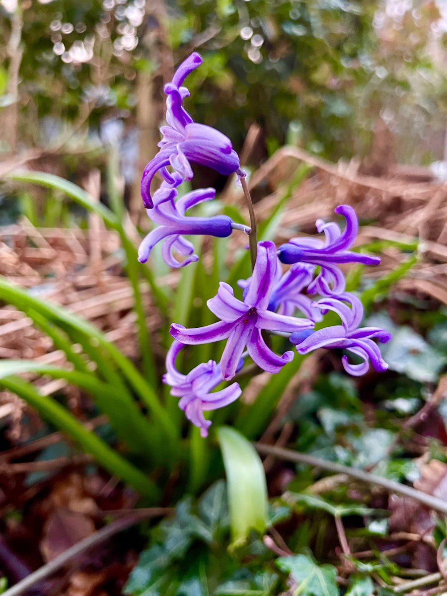 Stifyn Parri 🌈 tweet media