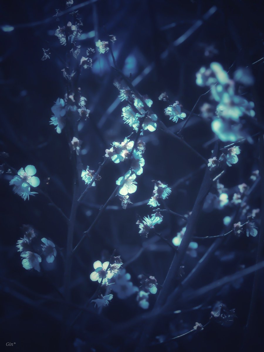 Yuma_Gin (@yuma_r_g) on Twitter photo 