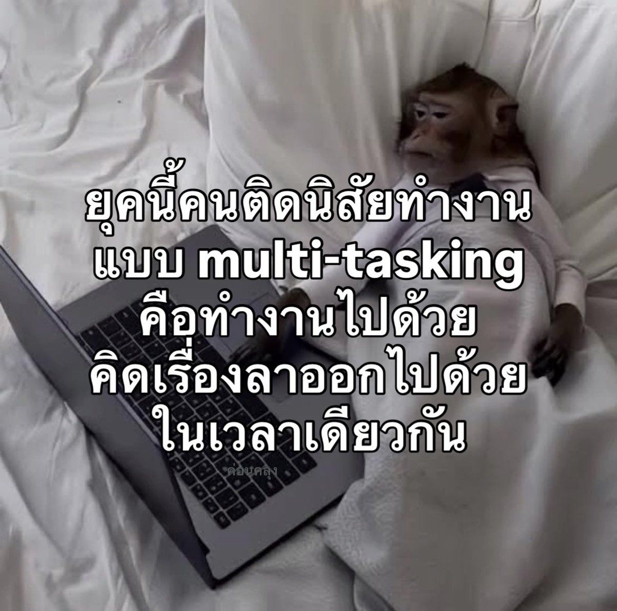 นี่แล้ว 1