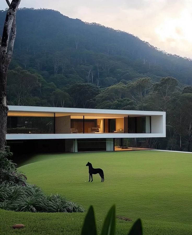 Only future $ millionaires can like this post.