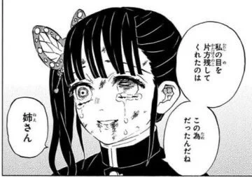>RP 