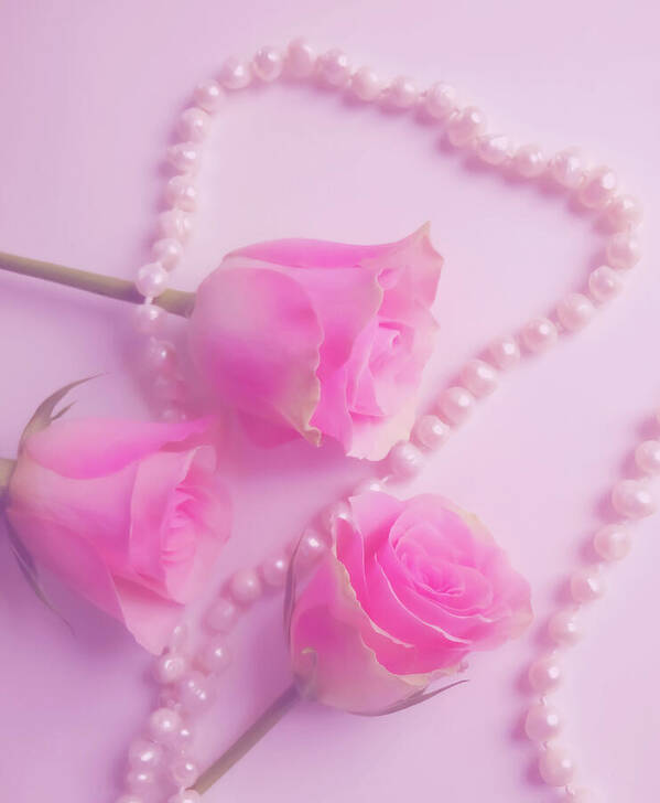 HurmerintaArt's tweet image. Pearls and roses. 
Wonderful on cards, wall art, pillows and bags.

#pearls #roses #romantic 

johanna-hurmerinta.pixels.com