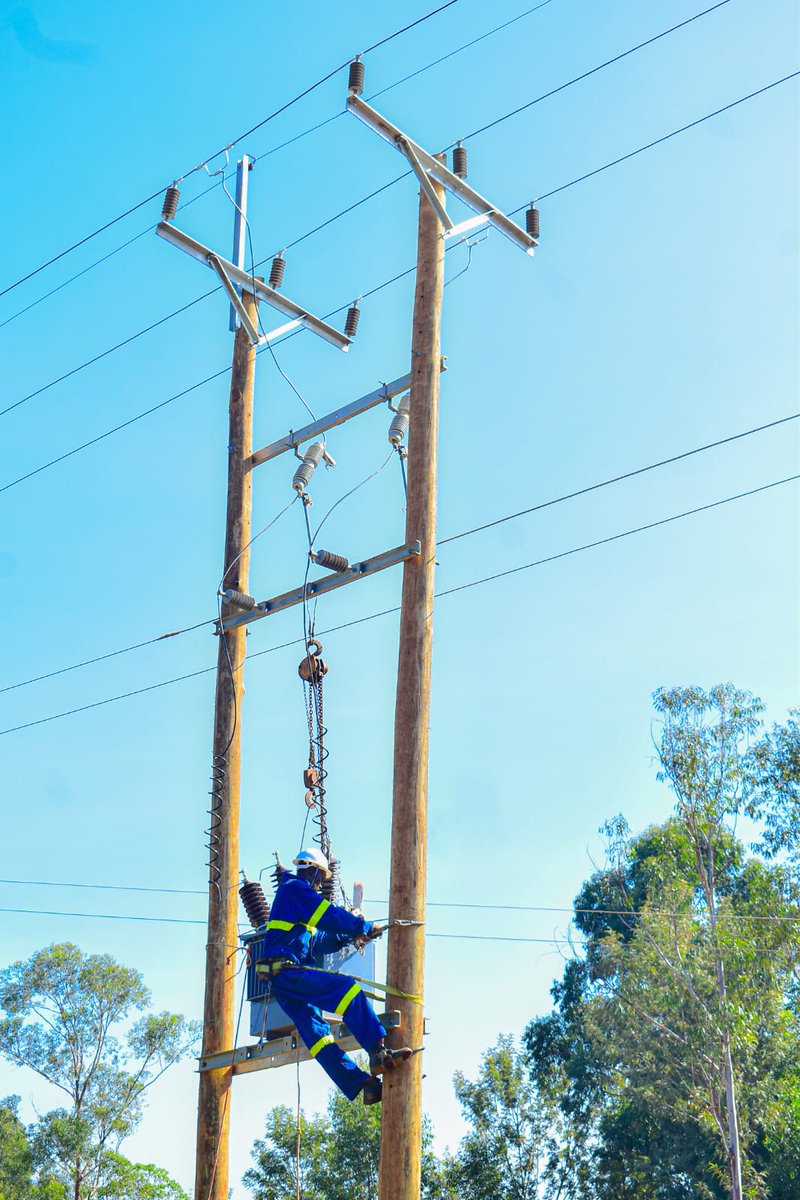 Hon. Innocent Mugabe tweet media