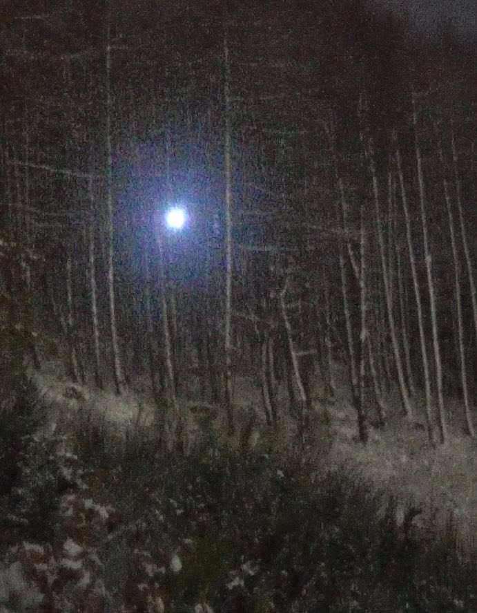 PatrickQJackson's tweet photo. A few years ago I spoke with the BF researchers.. and guess what.. 
The baseball size type3 sphere as below are seen in "bigfoot" areas, there is a flash  - the big guy turns up, another flash - and.. he is gone - 
with the Sphere itself flying off like a tracer round. Hence why no one caught one, no dead ones and footprints stop dead in mud. 
All connected.
#thespherenetwork #uaptwitter #ufotwitter #uap #ufox