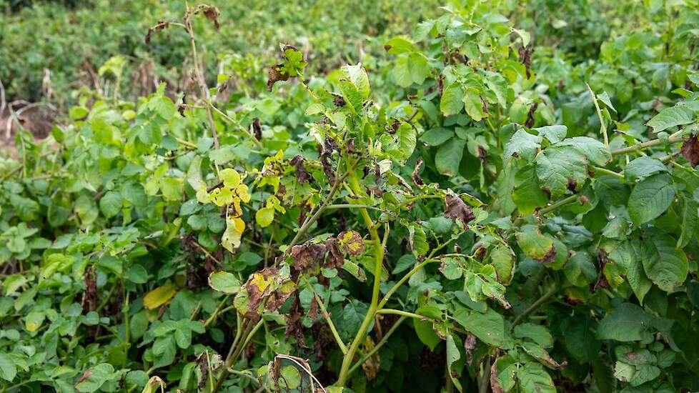 Akkerwijzer.nl tweet media