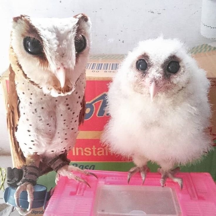 AMAZING things are happening!