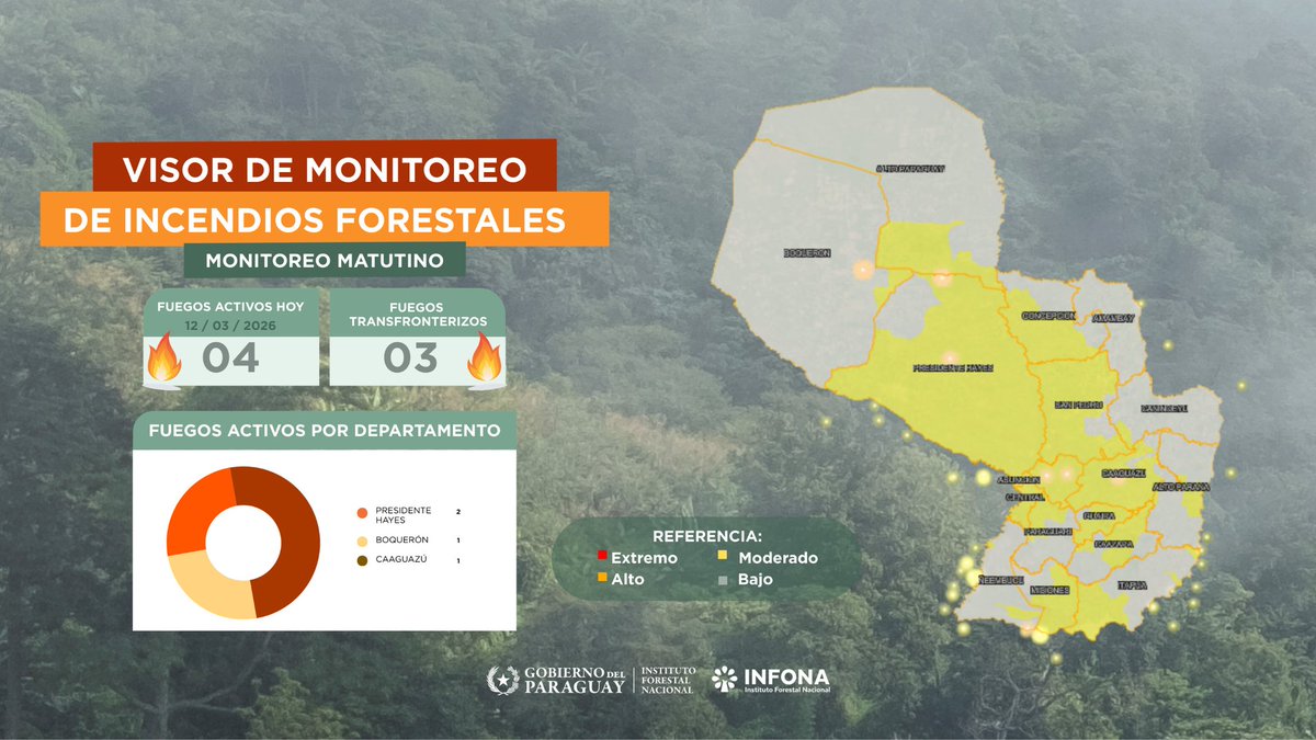 Instituto Forestal Nacional del Paraguay tweet media