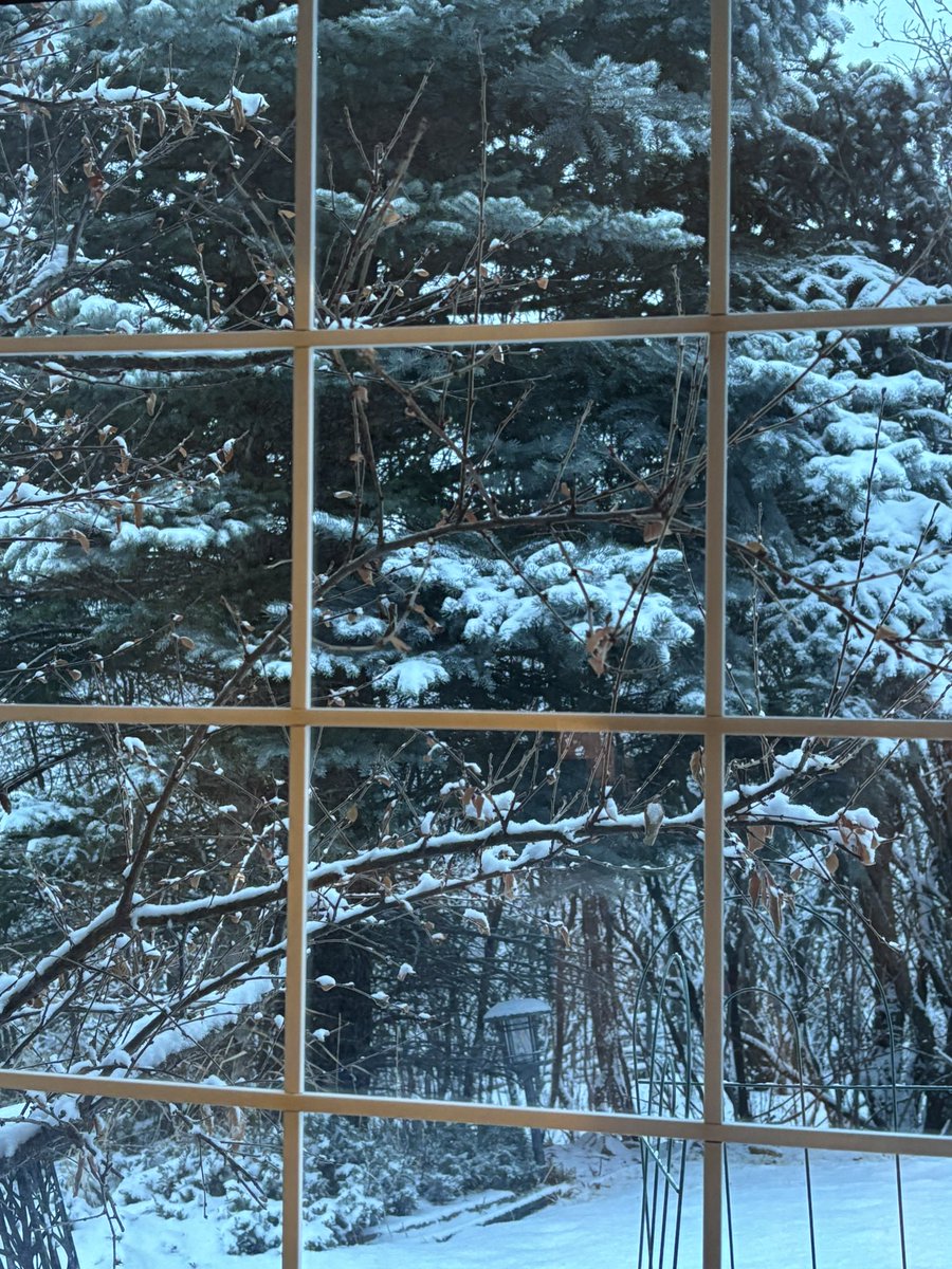 OnceInLuv tweet media