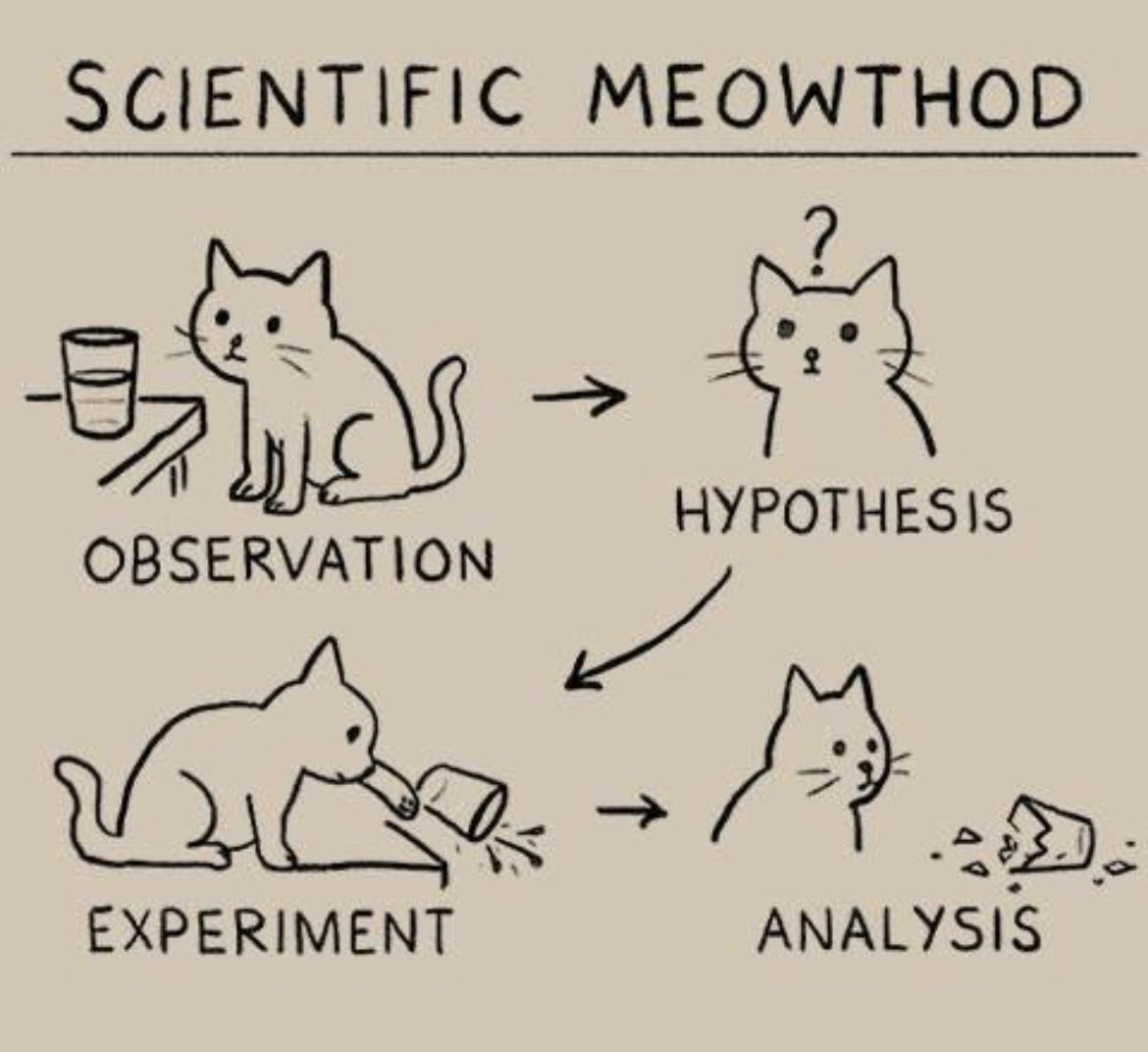 gatuna_Pilar_2's tweet photo. Método científico.  🤭😸 https://t.co/9bgmffuQIh