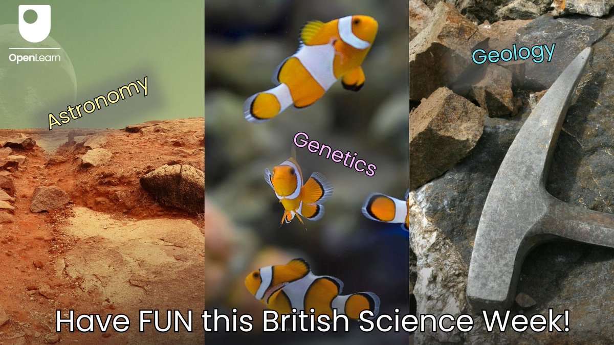 OpenLearn tweet media