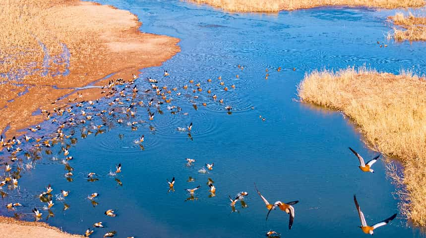 Chinese Mission to UN tweet media