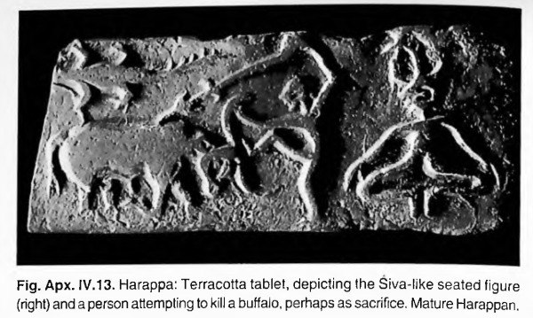 SagasofBharat tweet media