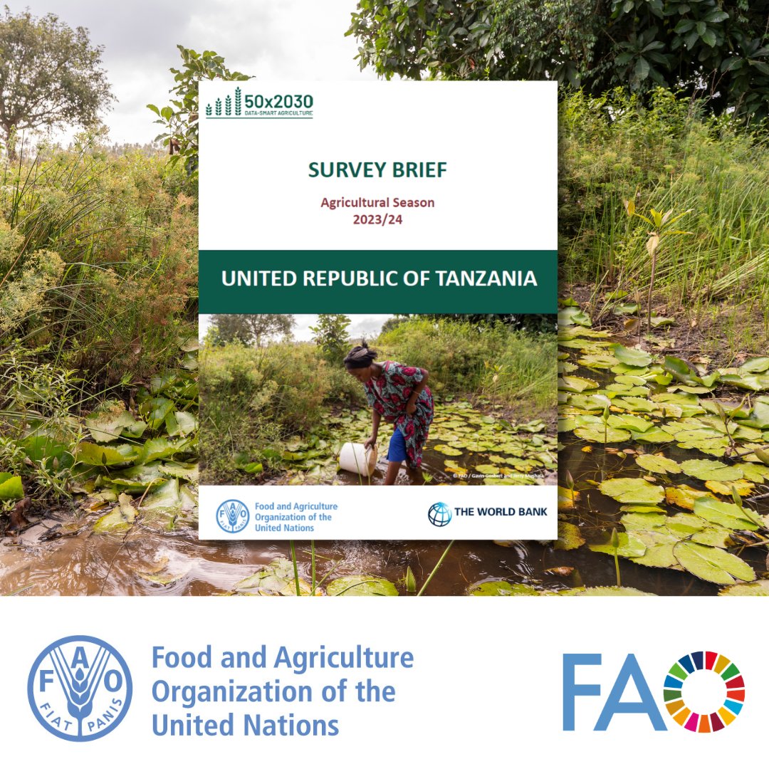 FAOstatistics's tweet photo. .@FAOStatistics &amp; @WorldBank brief under @50x2030 with insights on Tanzania's 🇹🇿 agricultural sector for 2023-24—covering agricultural land &amp; holding size, crop output, farm input use &amp; participation of women in agriculture.🌾

📗https://t.co/hElApmWTVk https://t.co/csj3OREVOB