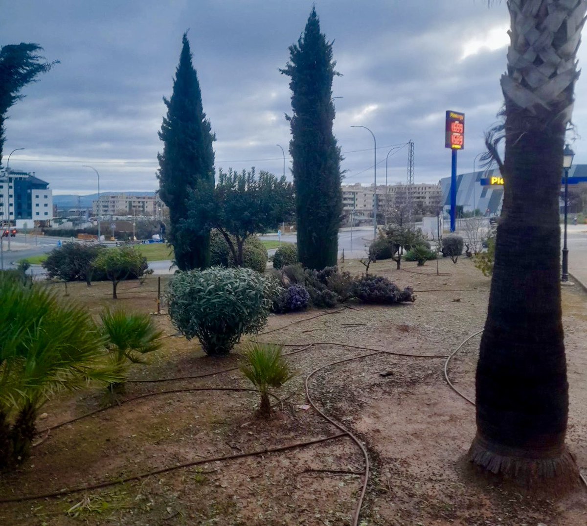 🌿 #ATiendeQ en las zonas verdes
Poda y mantenimiento de zonas verdes, árboles y cuidados de las palmeras en los parques de Fuentemora 

¿Quieres contactar con nosotros?
📲 En la #APP de ATiendeQ
✅ En WhatsApp: 689 41 02 95