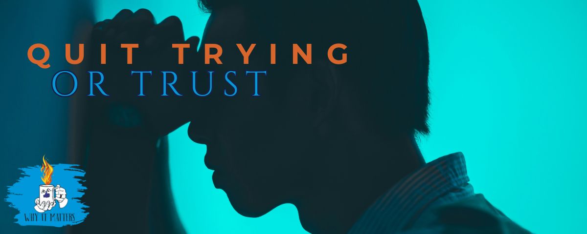 Brandon Powell tweet media