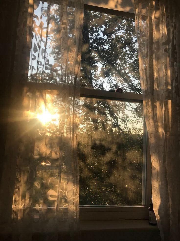 Although_Heaven's tweet photo. A veces un rayito de sol cambia todo el día. ☀️ https://t.co/BNaQUzVih5
