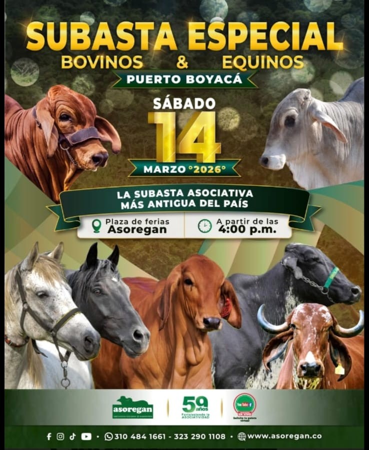 Puerto Boyacá Pasión Ganadera tweet media