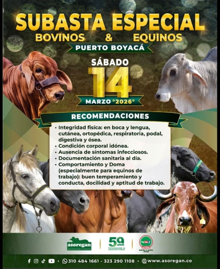 Puerto Boyacá Pasión Ganadera tweet media