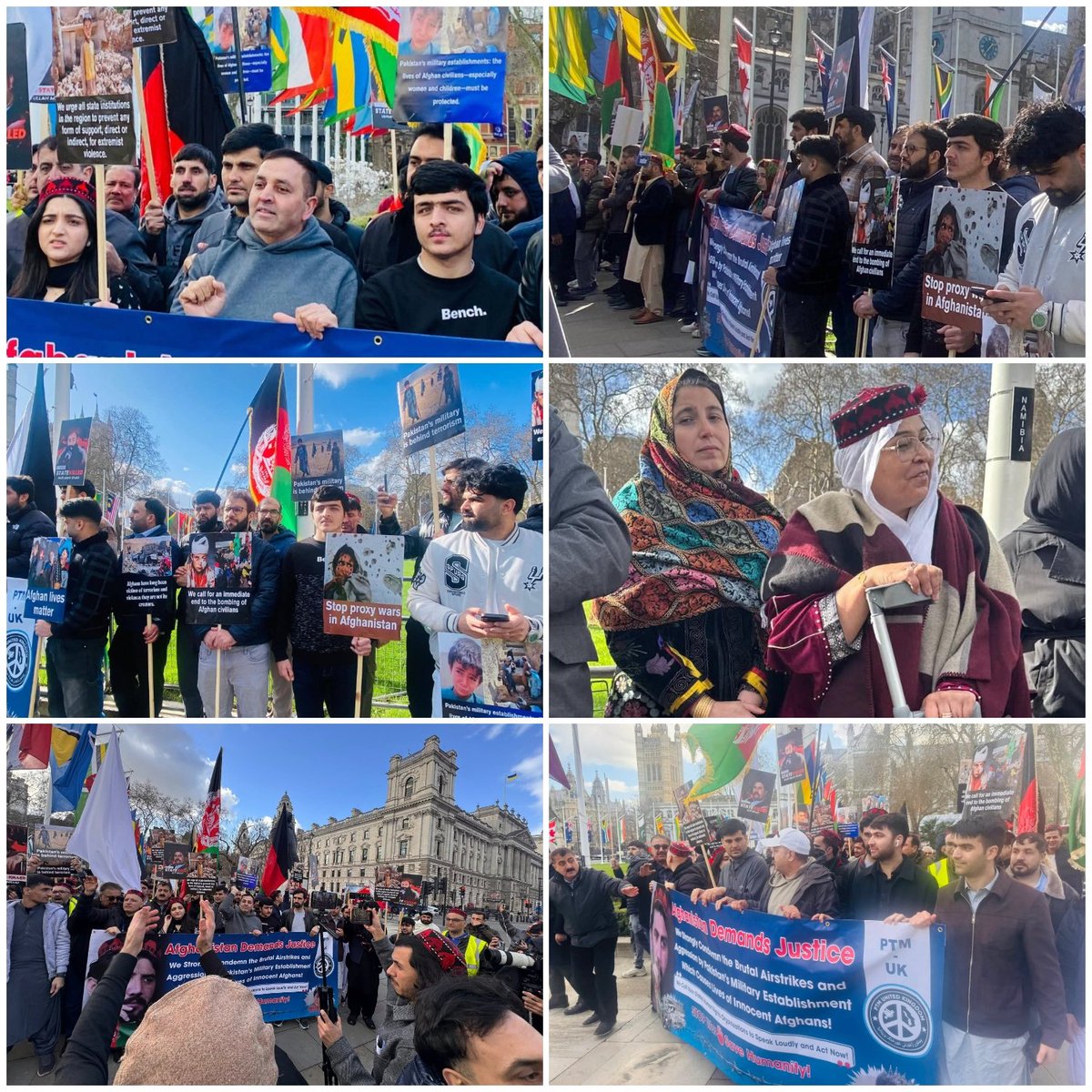 PTM Dir Official tweet media