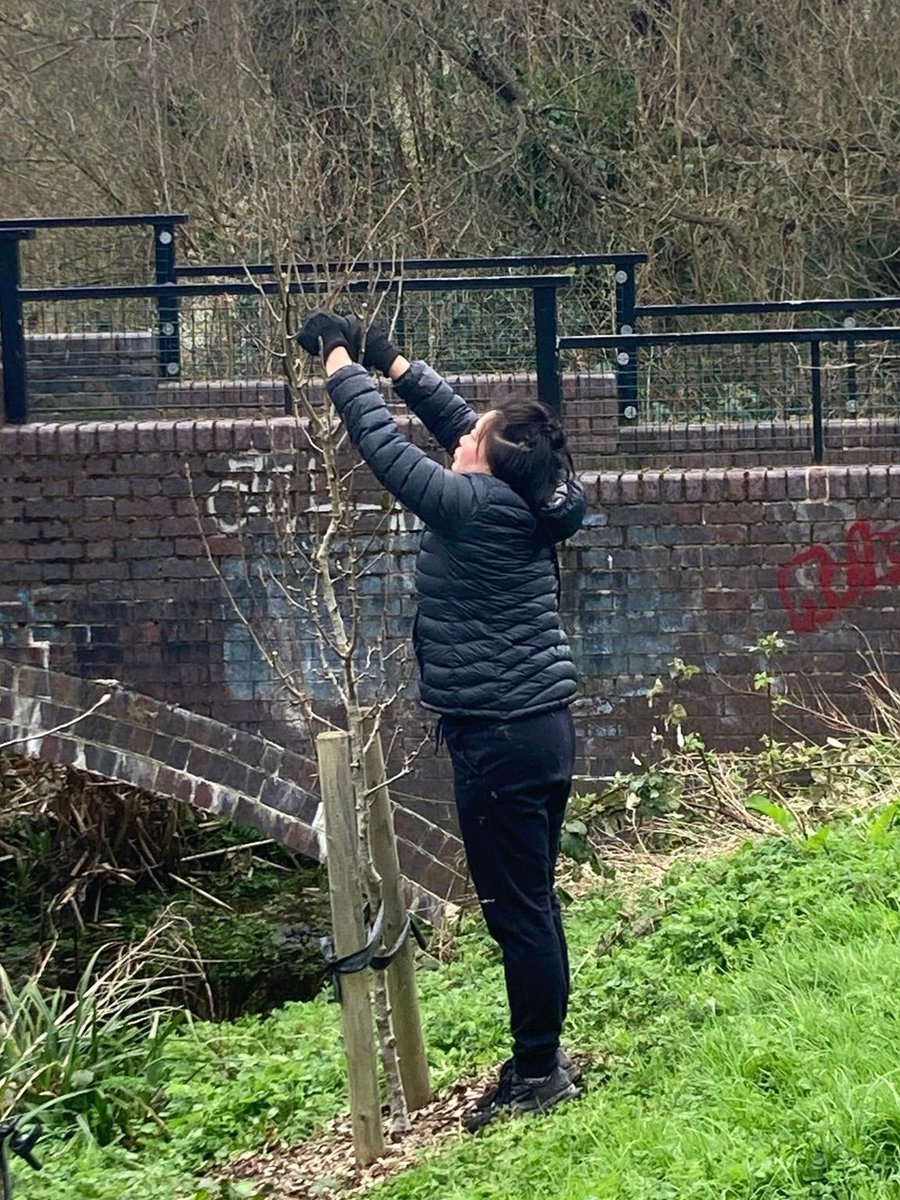 fruitnutvillage's tweet image. We've completed the #HazelwellRiverbabkOrchard #WinterPruning work today. #FruitAndNutVillage #Stirchley. Last time it was rained off!