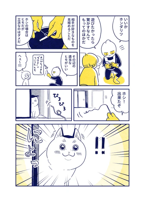 猫が

にょっ

ってするときの顔かわいい 