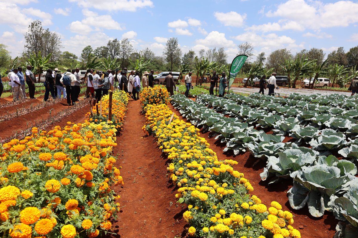 Cabinet Secretary Agriculture & Livestock Dev't tweet media