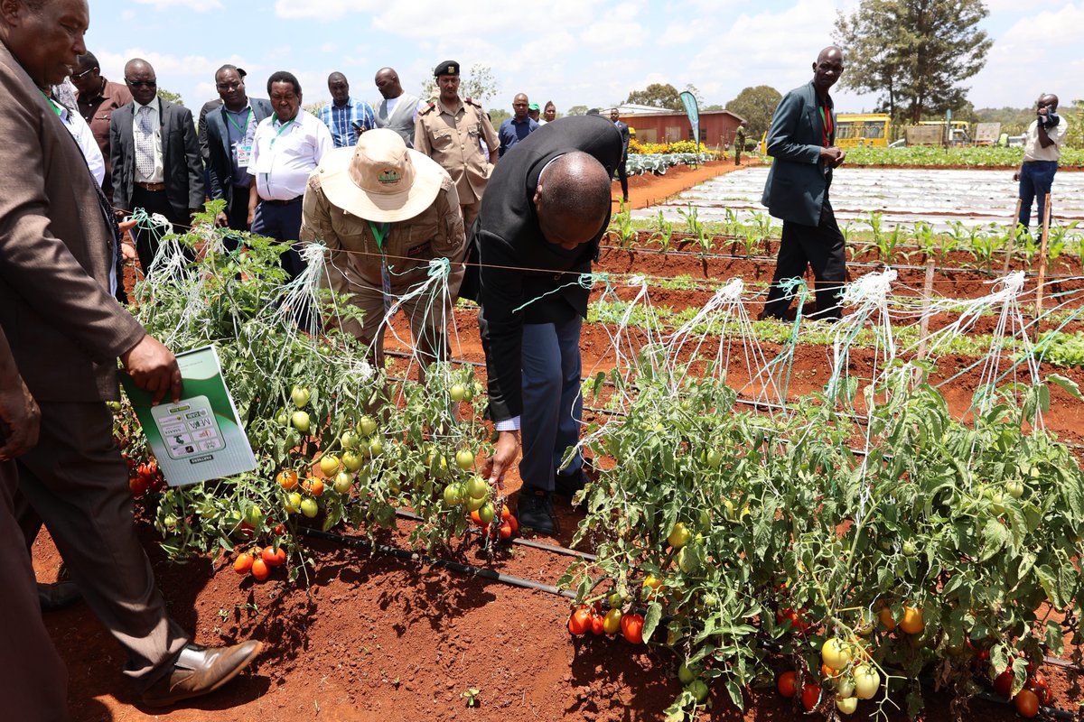 Cabinet Secretary Agriculture & Livestock Dev't tweet media